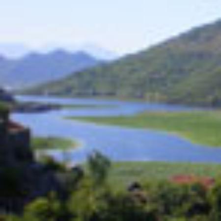 Xiang Yin Tu CaiGuan